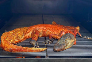 Alligator Whole