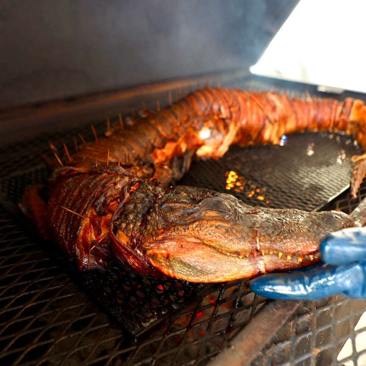 Alligator Whole Mossy Oak Gamekeeper Butchery